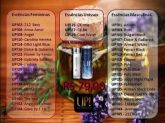 Perfumes Importados